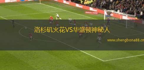 洛杉磯火花VS華盛頓神秘人