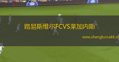 路易斯維爾FCVS萊加內斯